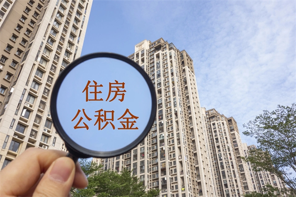 临清公积金的提（&quot;公积金提取&quot;）